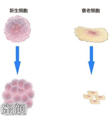 瑞士顶奢医疗与抗衰标杆:吉尼利尔医疗集团与尼尚希(NESCENCE)的中国启示(图1)
