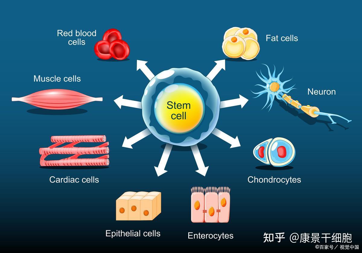 深圳唯一双证!中大八院取得两大生物医学新技术临床研究备案(图1)