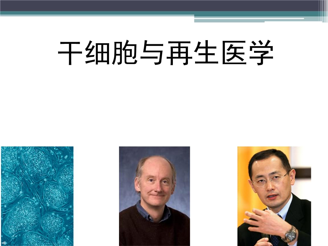 无锡市科协牵头中欧生命健康交流活动多国代表团到访博雅生命探讨产业协同(图1)
