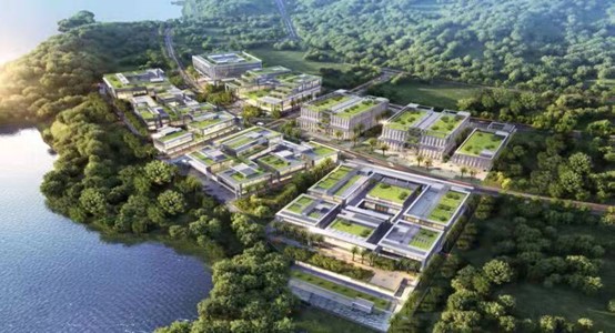 植物干细胞技术突围:百年野山参实验室“重生”新质生产力赋能珍稀药材告别“靠天吃饭”(图1)
