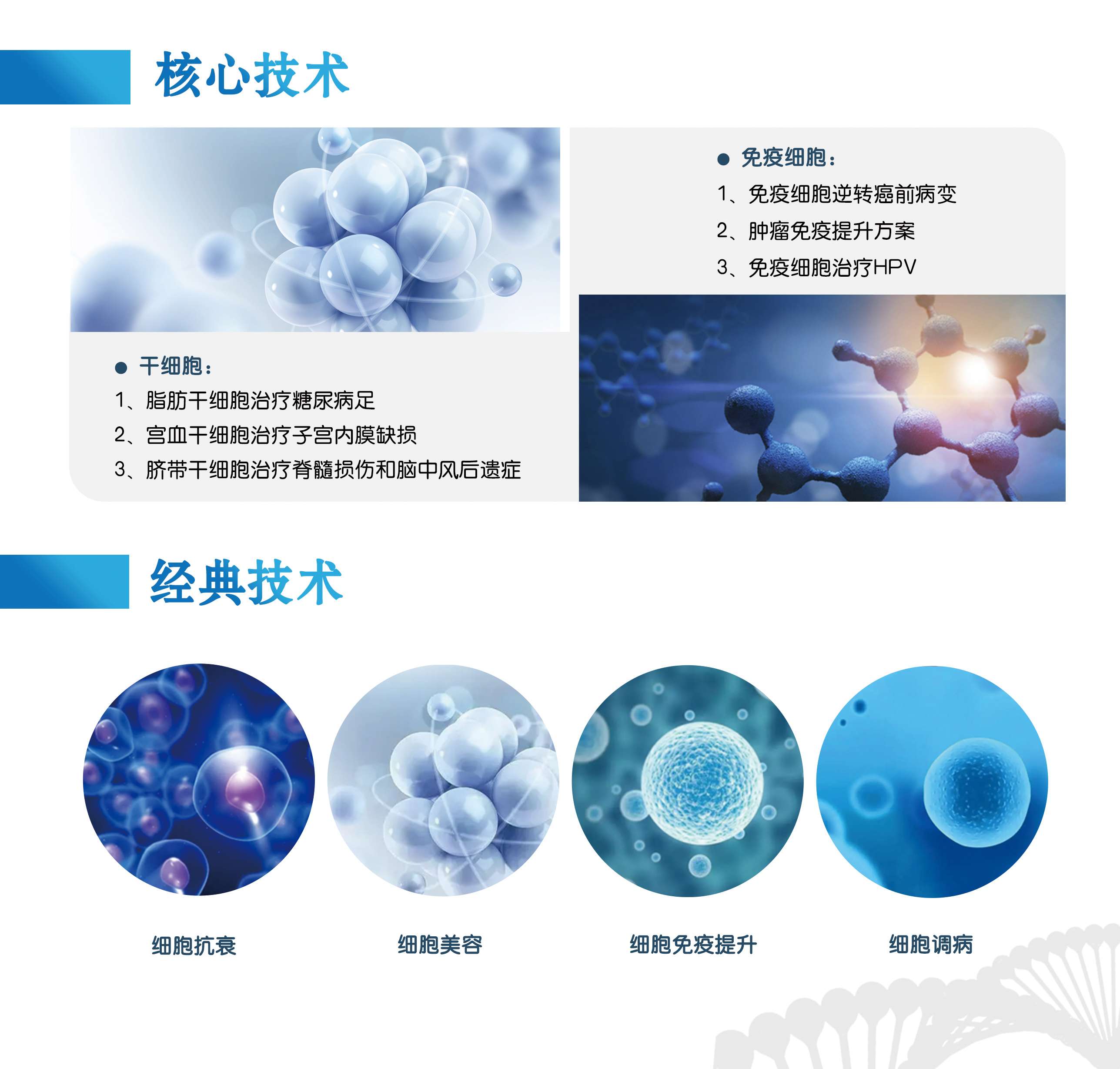 细胞治疗(图1)