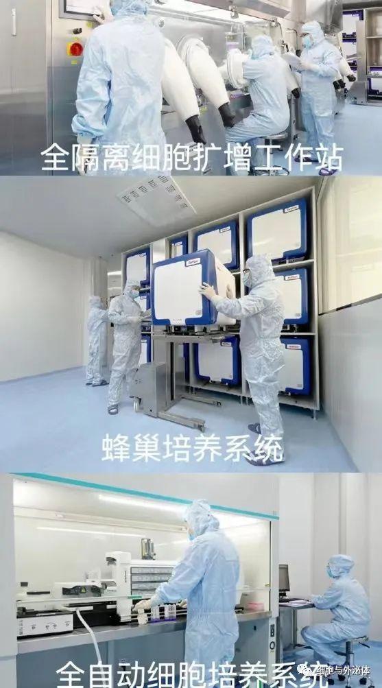 基于细胞学干预衰老才是正解！附专家共识及科学研究证据(图1)