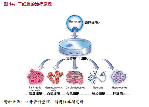 糖尿病最新资讯-快科技--科技改变未来(图1)
