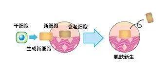资讯中心：生科医学--快科技--科技改变未来(图1)