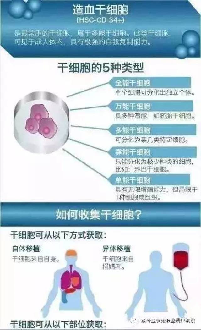 干细胞产业革新之路吉涛生物硬核技术打破行业高价壁垒(图1)