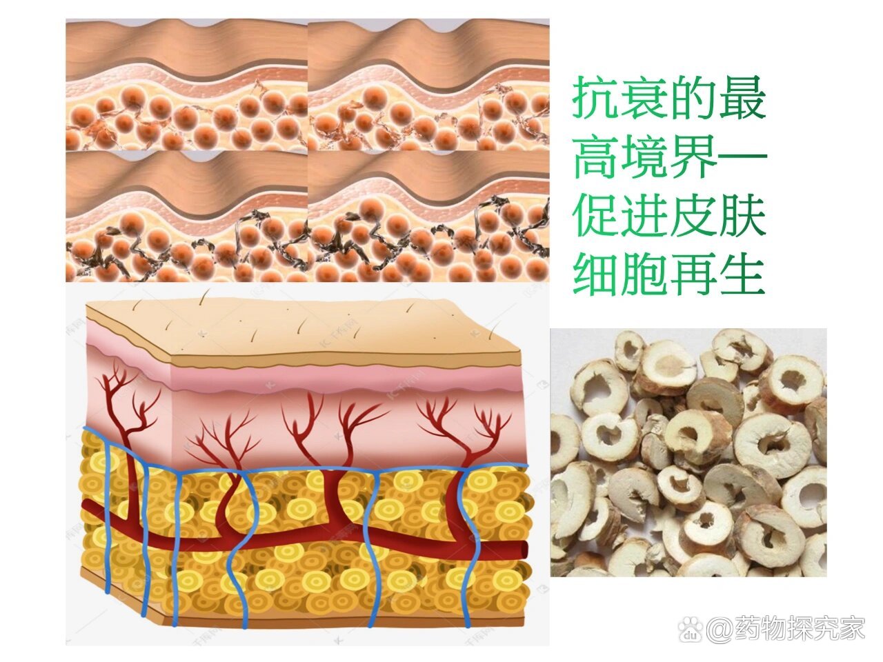 干细胞科普展厅设计方案(图1)
