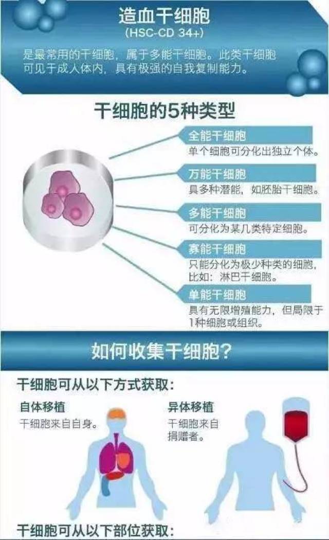 干细胞科普展厅的设计:通过场景营造或多媒体互动展项设置(图1)