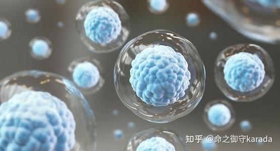中国创!吉美瑞生荣获联合国知识产权组织全球奖(图1)
