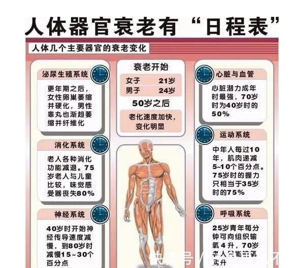 科技创新与金融支持“双轮驱动”助抗衰老技术从实验室走向市场(图1)