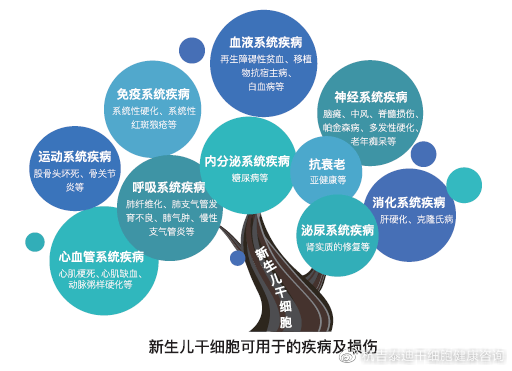 2026年老龄人文发展对话(图1)