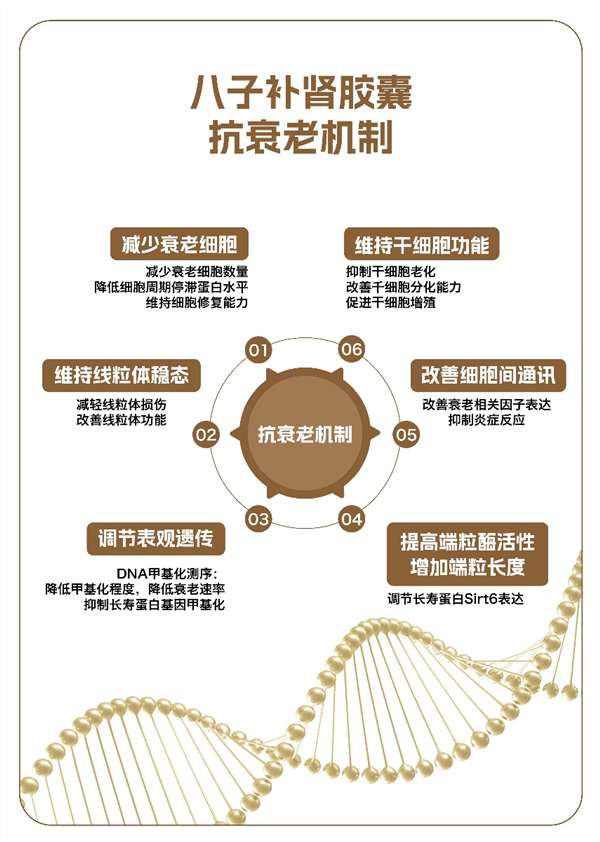 有什么抗衰老的方法(图1)