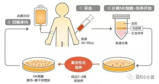 身体颜色警报的医学解读与应对策略(2026版)(图1)