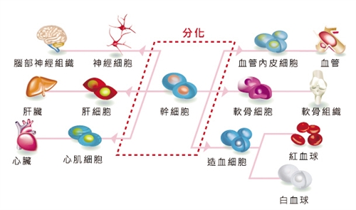 探索建设国家区域医疗中心新范式上海六院福建医院和敏院区将于今年内投用(图1)