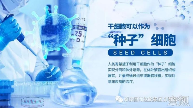 《血液净化技术新进展及其临床应用》课件(图1)