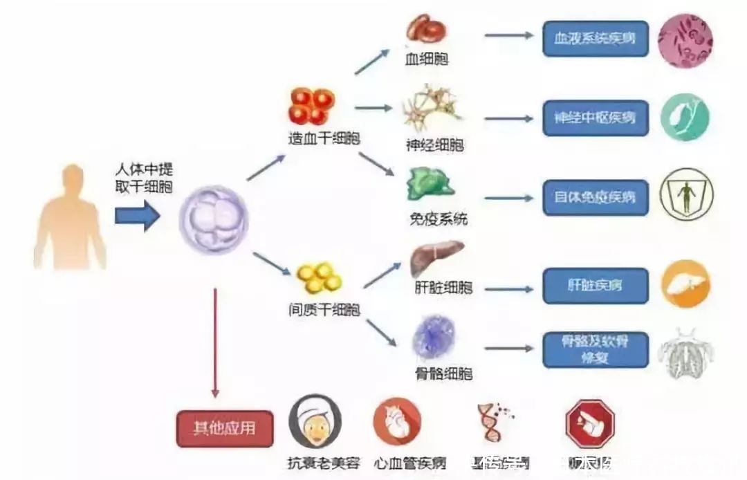 面对抗衰科技新浪潮如何避开概念误区？2026年NMN十大品牌趋势推荐(图1)