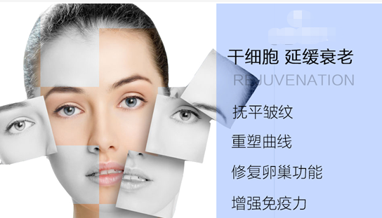 细胞抗衰行业分析(图1)