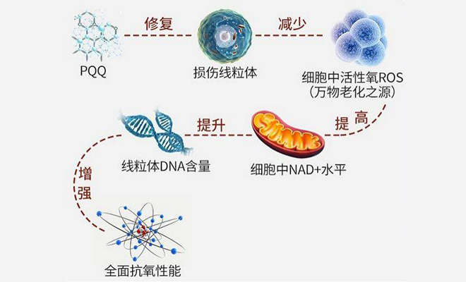 贵州鹿的路在何方?“生态鹿业·贵药兴农”鹿产业研讨会给出答案(图1)