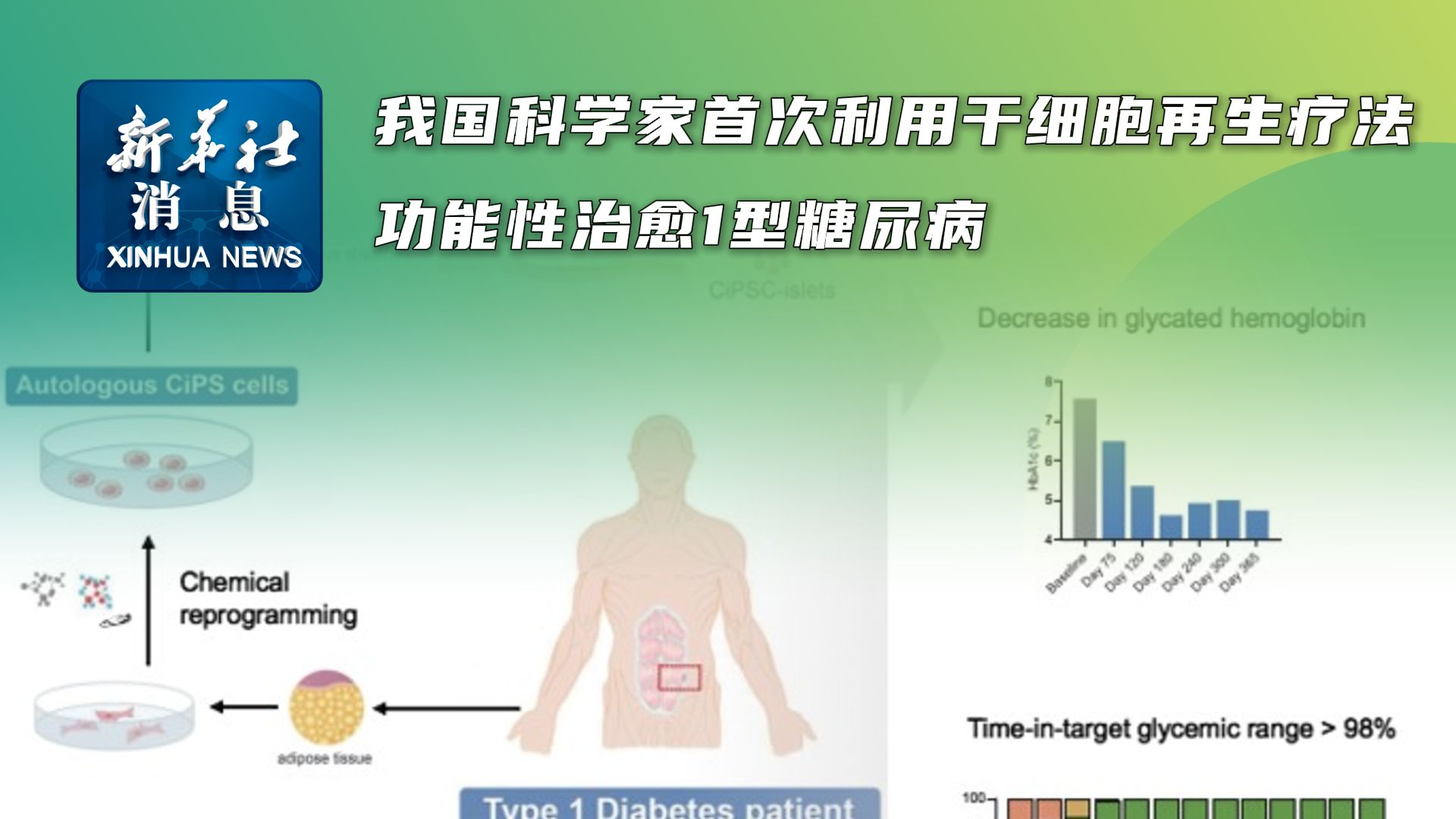 回输干细胞有什么好处(图1)