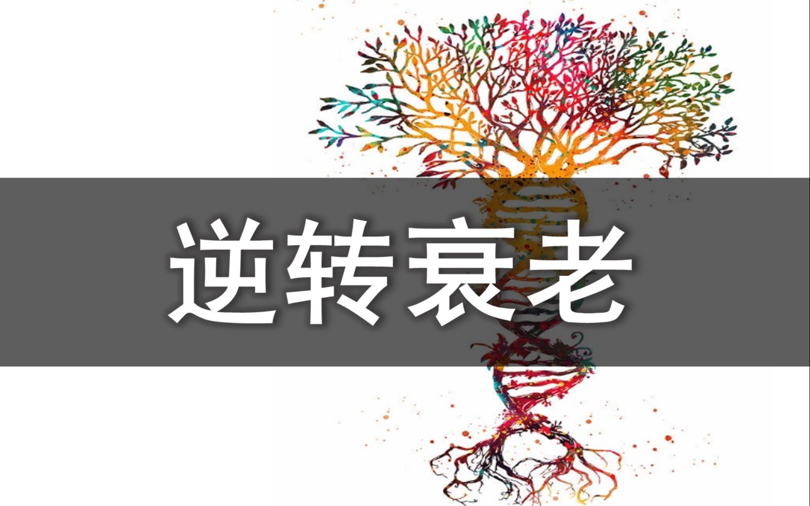 2025年全国科普工作经费筹集额超243亿元(图1)